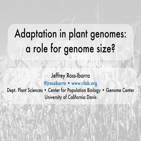 JGI: Genome size impacts on plant adaptation