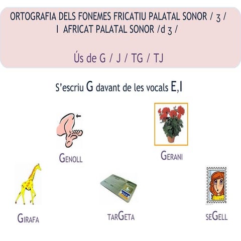 Les grafies G, J, TG, TJ