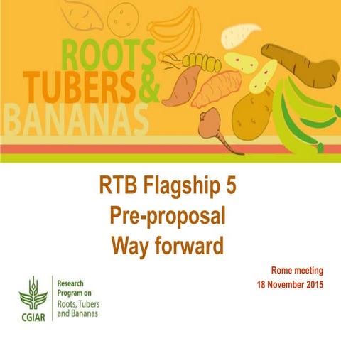 RTB Flagship 5 Pre-proposal Way forward