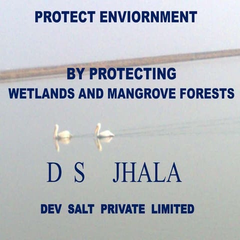 Protecting Environment by Protecting Wetlands and Mangrove Forests. by- D.S. ...