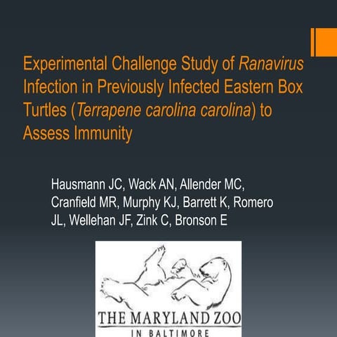 Experimental challenge study of ranavirus infection in previously infected ea...