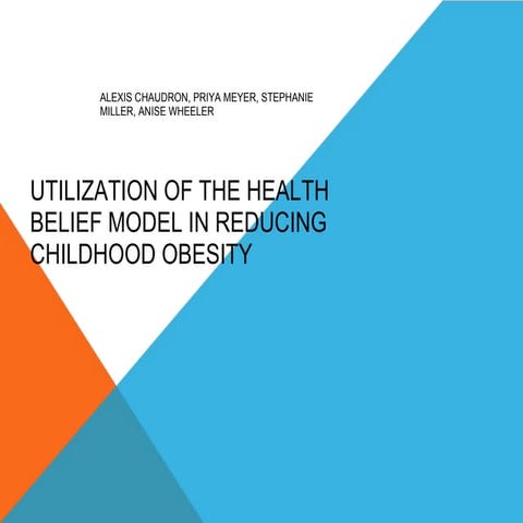 Jhu fall 2011 group 5 hbm t heory ppt due 11 21-2011