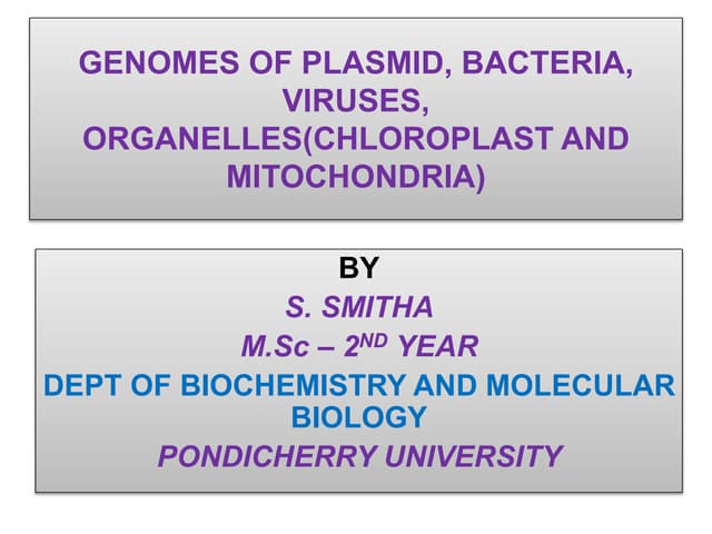 A brief discussion on Mitochondria and Chloroplast