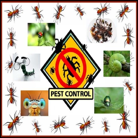 Pest control