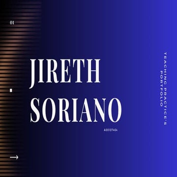 portfolio designed to present the lessons learned .pdf