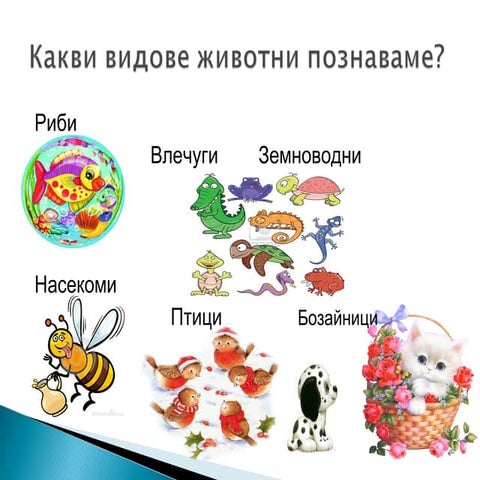 Животински свят