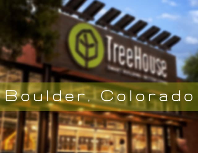 TreeHouse Media Plan