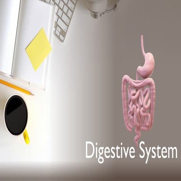 Digestive system 