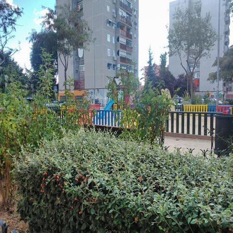 Imágenes muy naturales