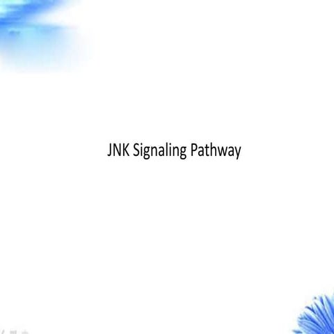 Jnk signaling pathway creative diagnostics