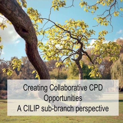 Jospeh Norwood and Suzanne Tatham CDG2012 Creating collaborative CPD opportun...