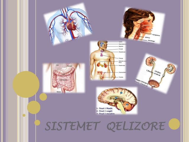 Loeches mujeres solteras manos Loeches mujeres solteras manos