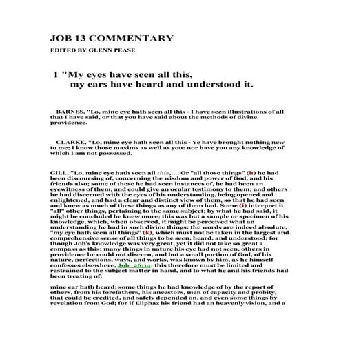 Job 13 commentary | PDF