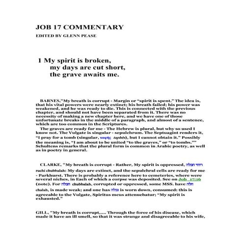 Job 17 commentary | PDF