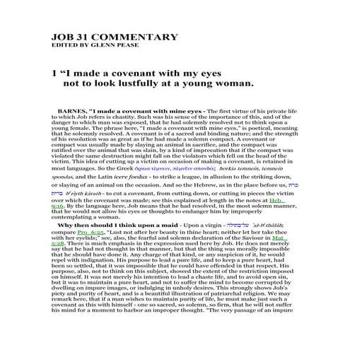 Job 31 commentary | PDF