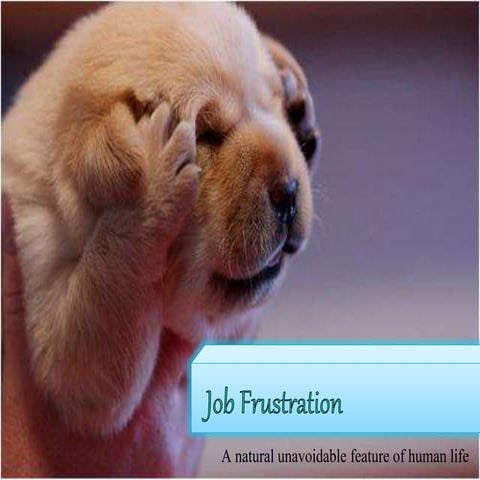 Job frustration