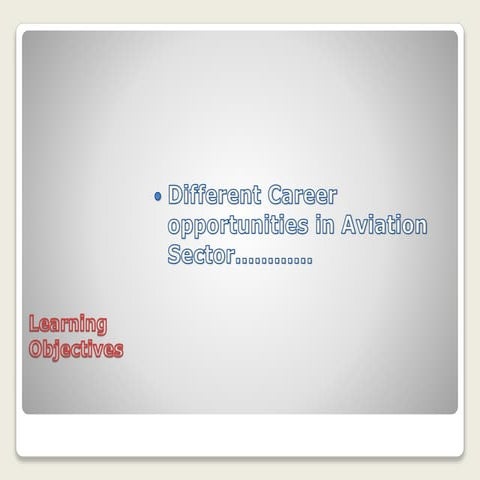 Job opportunities in aviation