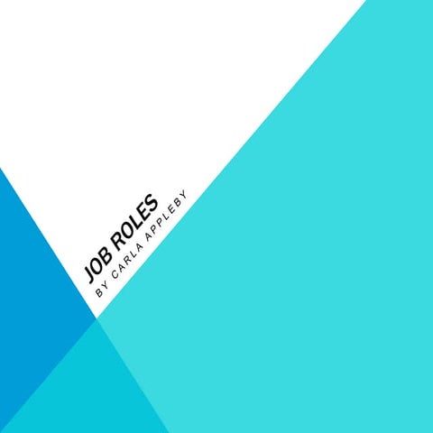 Job Roles