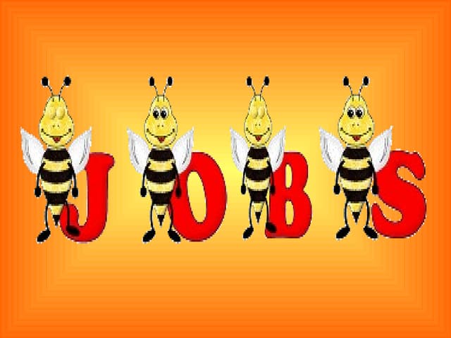 Jobs