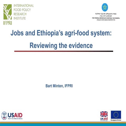 Jobs and Ethiopia’s agri-food system: Reviewing the evidence