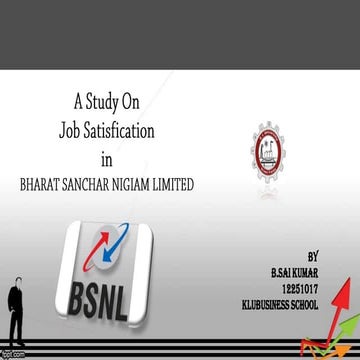 Job Satisfaction In BSNL