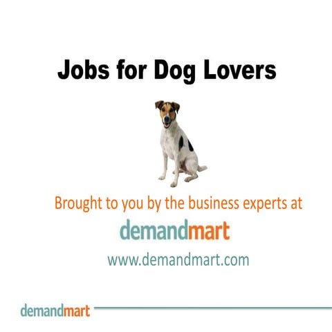 Jobs for dog lovers