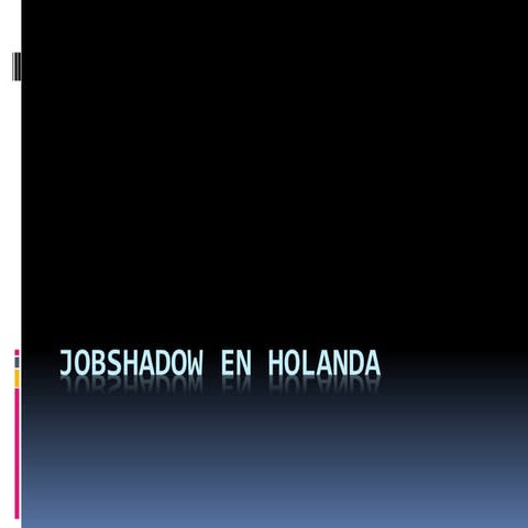 Jobshadow en holanda