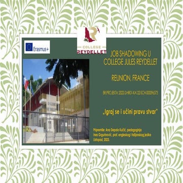 JOB SHADOWING U College Jules Reydellet.pdf