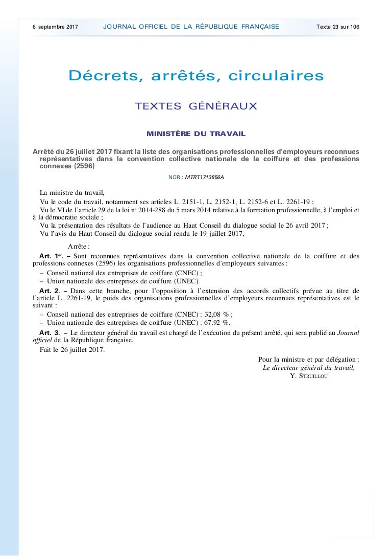 Idcc 2596 Organisations Représentatives