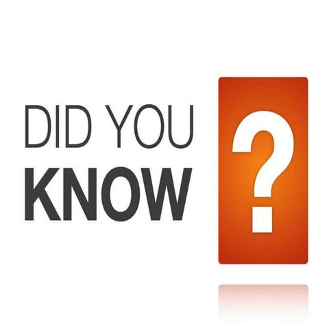 Joe Cudd - Maes y morfa