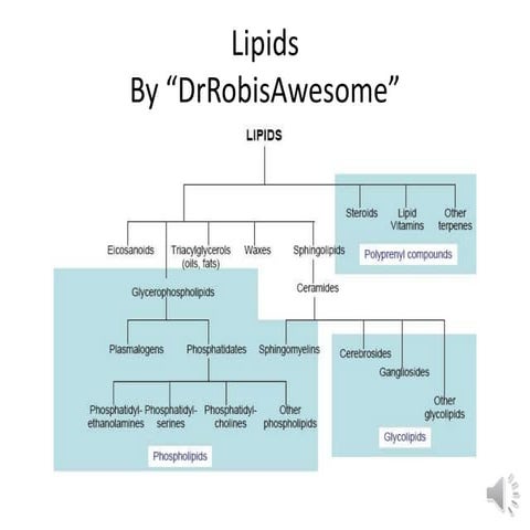  lipids by Dr. Rob