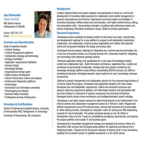Joe raimondo digital architect profile