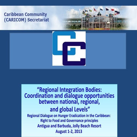 Johan David (Caricom) - Response to FNS challenges