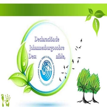 Declaracion Johannesburgo 2002