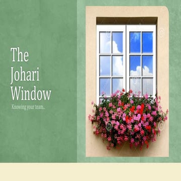 Johari's window