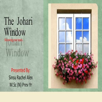 Johariswindow