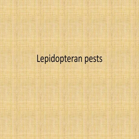 pests of lepidopteran