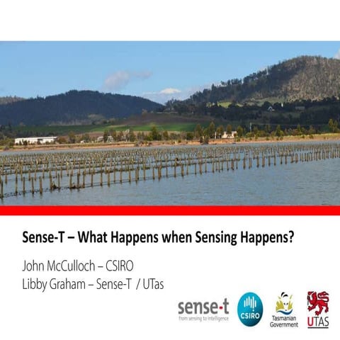 Sense T - What happens when sensing happens? 
