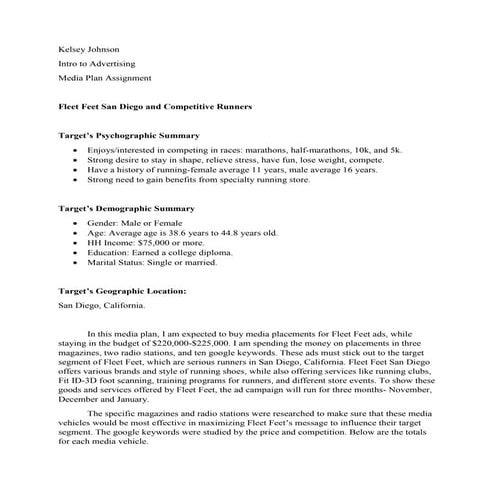 Media Plan Assignment | PDF