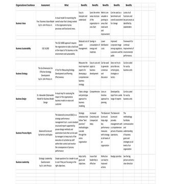 Johns organizational excellence model