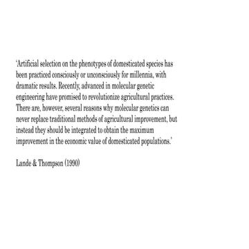 Genomics in animal breeding from the perspectives of matrices and molecules