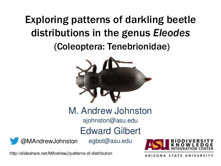 Exploring Patterns of Darkling Beetle Distributions in the Genus Eleo…