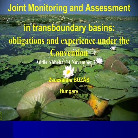 Joint Monitoring and Assessment in transboundary basins: obligations ...