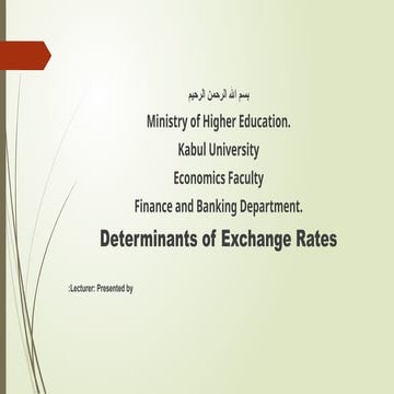 Foreign exchange rate determination | PPTX