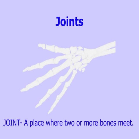 Joints
