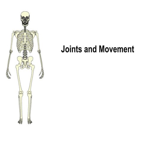 Joints  Movements .pptxnnnnnnnnnnnnnnnnnnnnnnn