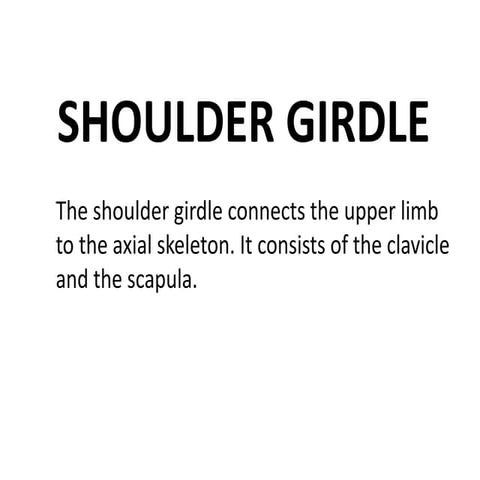 joints of upper limbs human anatomy best slides