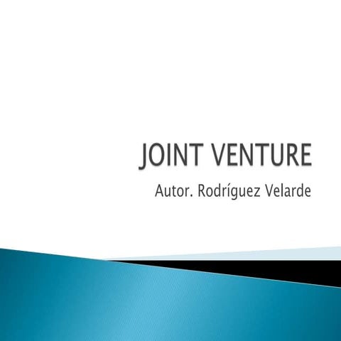 Joint Venture