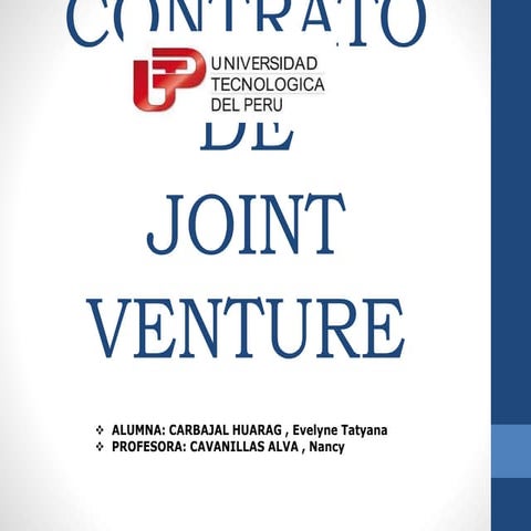 Joint venture (1)