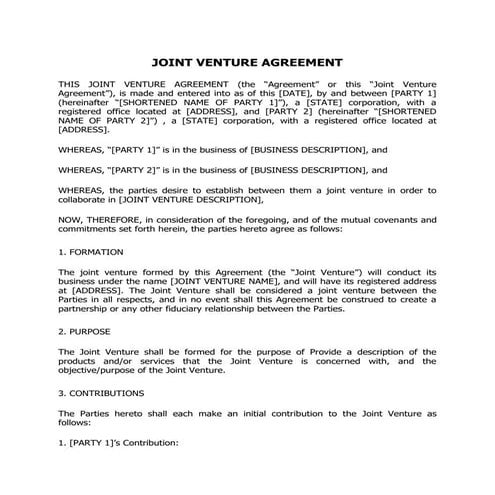 JOINT VENTURE AGREEMENT | PDF